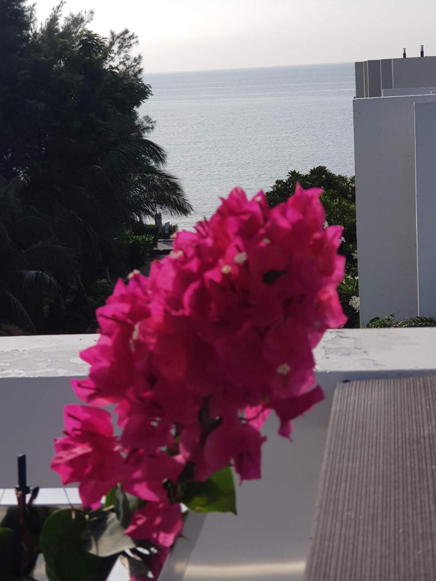 Oceanami Resort Sea View Long Hải Exterior foto
